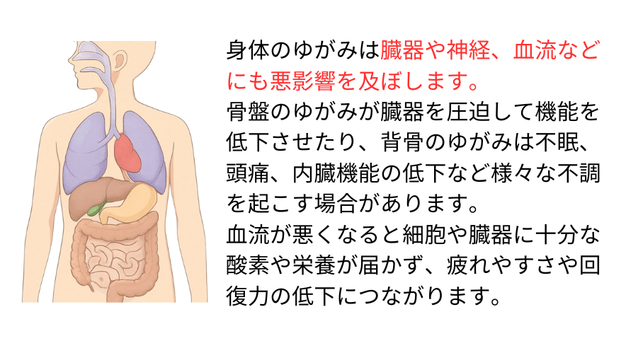 身体のゆがみは臓器や神経、血流にも悪影響を及ぼす